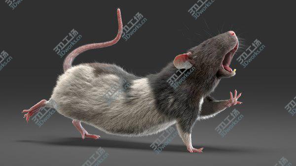 images/goods_img/20210312/3D model Rat (Fur) (Rigged) (4)/2.jpg